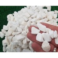 Ekodoğa Beyaz Dolomit Taş 5 kg 1,5-2,5 cm Bahçe Taşı