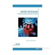 EKSIK İSTIHDAM ÖNCÜLLERI, SONUÇLARI VE NITEL BIR ARAŞTIRMA - BARIŞ SEÇER