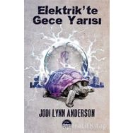 Elektrikte Gece Yarısı Jodi Lynn Anderson