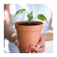 Elho Green Basics 11 cm Kahve Yetiştirme Saksısı