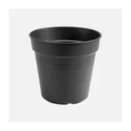 Elho Green Basics 17 cm Siyah Yetiştirme Saksısı