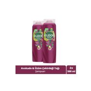 Elidor Avokado ve Üzüm Çekirdeği 2x500 ml Şampuan
