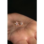 Elika Silver Kadın Renkli Taşlı Yıldız Model 925 Ayar Gümüş Rose Küpe