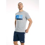 Ellesse EM003-GR Gri Erkek T-Shirt