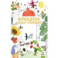 Elma Çocuk Bitkilerin Yaşam Döngüsü