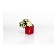 Emin Home 11 cm 0.82 lt 6 Adet Mimoza Saksı