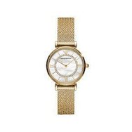 Emporio Armani AR11321 Kadın Kol Saati