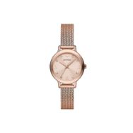 Emporio Armani AR11512 Kadın Kol Saati
