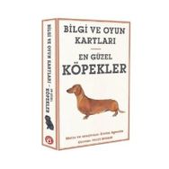 En Güzel Köpekler Beta Kids Yayınları