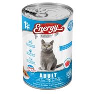 Energy 24x400 gr Ton Balıklı Yetişkin Islak Kedi Maması