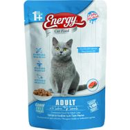 Energy 24x85 gr Somonlu Yetişkin Yaş Pouch Kedi Maması