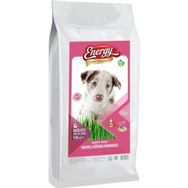 Energy Dog Food Kuzu Etli Yavru 15 kg Köpek Maması