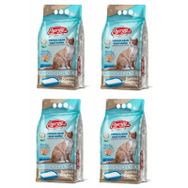 Energy Marsilya Sabunu Kokulu 4x5 lt Bentonit Kedi Kumu
