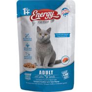 Energy Somonlu Pouch Konserve Yetişkin 6x85 gr Kedi Maması