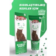 Energy Sterile Paste 100 gr Kısırlaştırılmış Kediler Için Yüksek İçerikli Multivitaminli Malt Macun