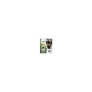 Epson C13T08944020 Kartuş