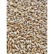 Erkan Tarım 1 kg Arpa Büyükbaş ve Küçükbaş Besi Yemi