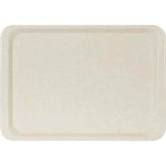 Erkoplas ERKO0107 Polyester 37x53 cm Anti Bakteriyel Bej Servis Tepsisi