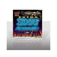 Ernie Ball 2150 Akustik Gitar Tel Seti