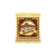 Ernie Ball P02002 Akustik Gitar Tel Seti