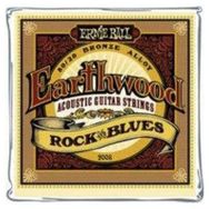 Ernie Ball P02008 Akustik Gitar Tel Seti