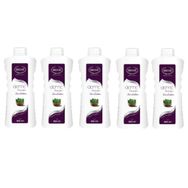 Ersağ Defne Ekstraktlı 5x1 lt Sıvı Sabun