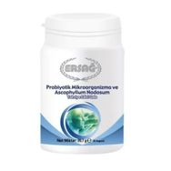 Ersağ Probiyotik Mikroorganizma Ascophyllum Nodosuml 30 Kapsül