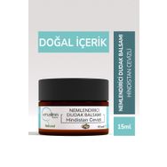 Ervalinn Doğal Kurumayı ve Çatlamayı Önleyici Hindistan Cevizli 15 ml Nemlendirici Dudak Balsamı