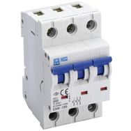 Esem E 3010 C Tipi 3P 10 kA 40 A Otomatik Sigorta