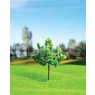 Eshel 4 cm 3 Adet Meyva Ağacı