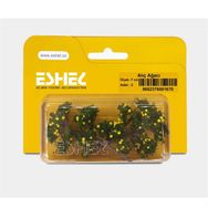 Eshel Ağaçı 7 cm 2 Adet Alıç Ağacı