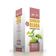 Esila 420 gr Ginko Bloba Macun