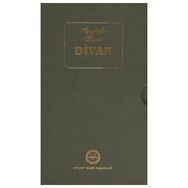 Eşrefoğlu Rumi Divanı - Mustafa Tatcı