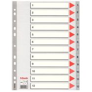 Esselte SLT-100106 1-12 Rakamlı Seperatör