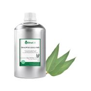 EthelOil 5 kg Ökaliptus Uçucu Yağ