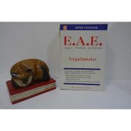 ETKİLİ ANA BABA EĞİTİMİNDE UYGULAMALAR