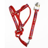Euro Dog Kırmızı 120 cm Köpek Uzatma Tasması ve Göğüs Tasması Takımı