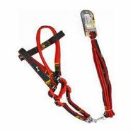 Euro Dog Kırmızı 20 mm 120 cm Köpek Uzatma Tasması ve Göğüs Tasması Takımı