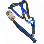 Euro Dog Mavi Siyah 20 mm 120 cm Köpek Uzatma Tasması + Göğüs Tasması Takımı
