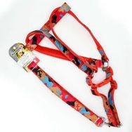 Euro Dog Pembe Kamuflaj 25 mm 120 cm Köpek Uzatma Tasması ve Göğüs Tasması Takımı