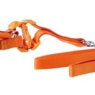 Euro Dog Turuncu 25 mm 120 cm Köpek Uzatma Tasması ve Göğüs Tasması Takımı