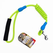 Euro Dog Yeşil 8 mm x 120 cm Köpek Gezdirme Tasması