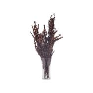 Euro Flora 70 cm Kuru Bitki Buxus