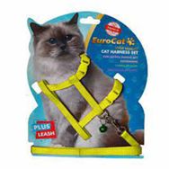 Eurocat SarıKedi Göğüs Tasması