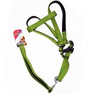 Eurodog 25 mm 120 cm Yeşil Köpek Uzatma + Göğüs Tasması