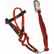 Eurodog Kırmızı 20 mm 120 cm Köpek Uzatma + Göğüs Tasması