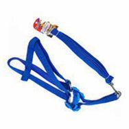 Eurodog Mavi 120 cm Köpek Uzatma + Göğüs Tasması