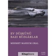 Ev Düşkünü Bazı Rüzgarlar Everest Yayınları