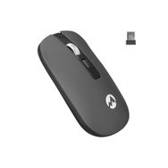 Everest SM-W71 Siyah Kablosuz Mouse