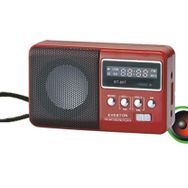 Everton RT-303 Beyaz Radyo